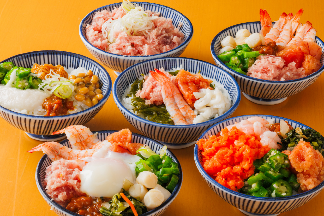 庄内わがまま丼